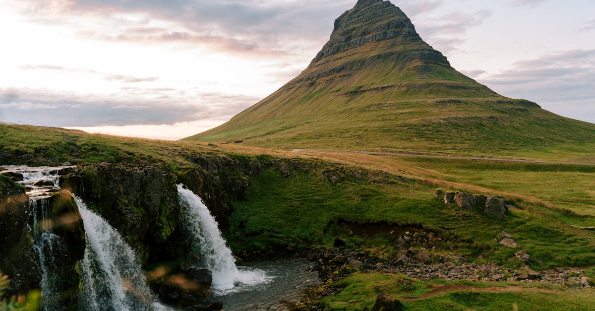 A Guide to Budgeting for Synthetic Turf on the Gold Coast