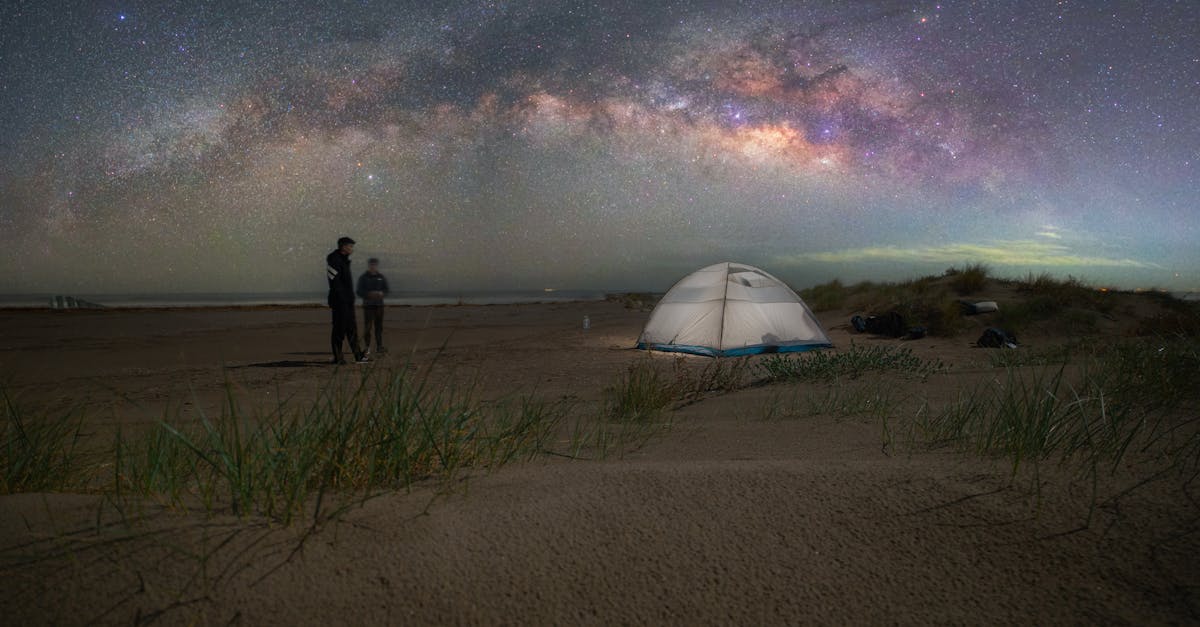 Best Practices for Keeping Your Synthetic Grass Clean