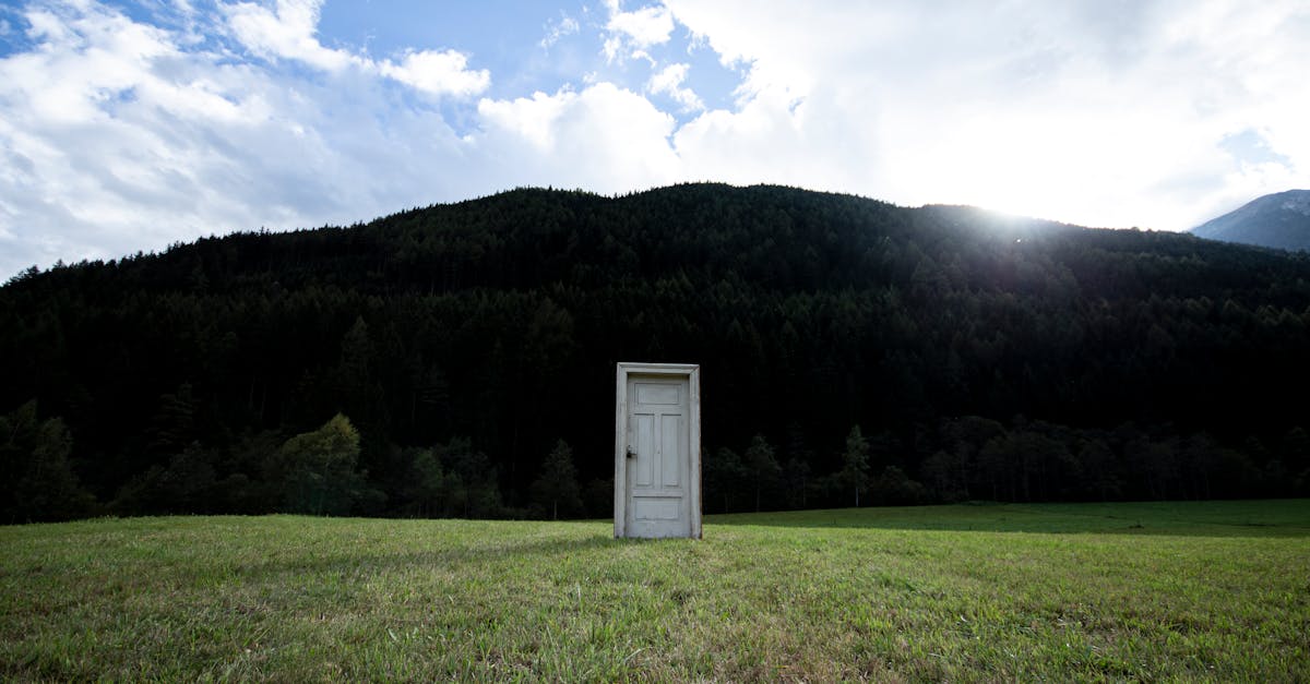 Best Practices for Keeping Your Synthetic Grass Looking New for Years