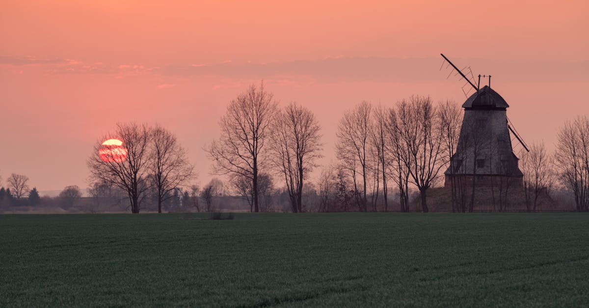 Common Drainage Issues in Synthetic Grass Installations and How to Address Them