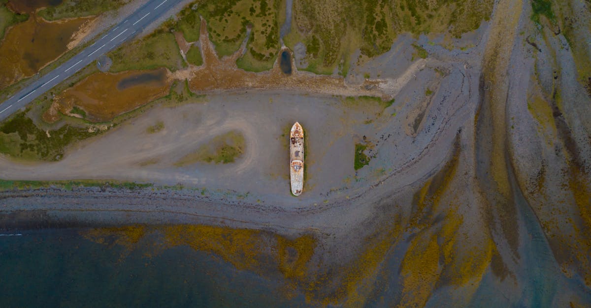 Comparing Durability Ratings of Different Synthetic Grass Types