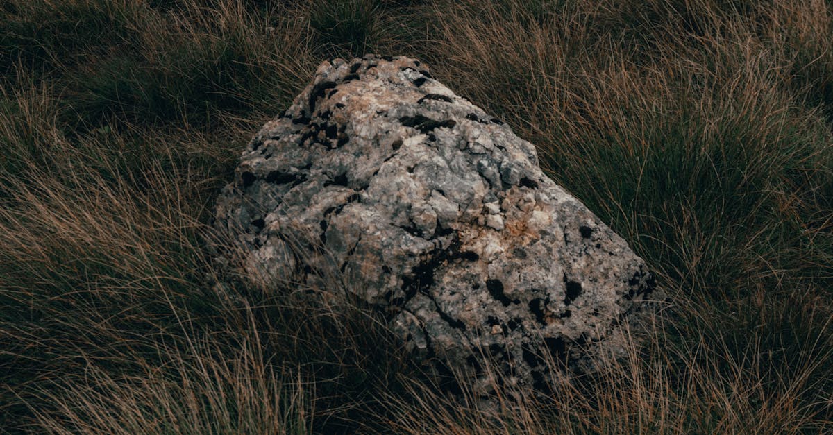 Effective Storage Solutions for Synthetic Grass Accessories to Preserve Quality