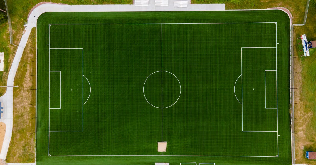 Effective Techniques for Removing Stains from Synthetic Turf