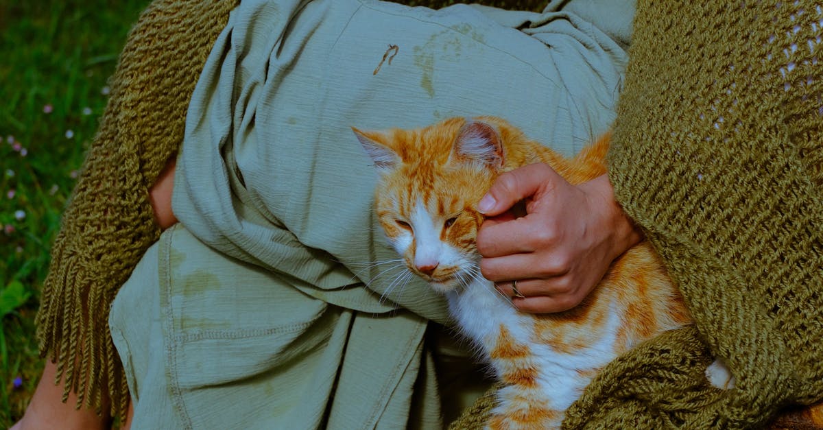 Evaluating Subsurface Drainage Options for Gold Coast Synthetic Grass