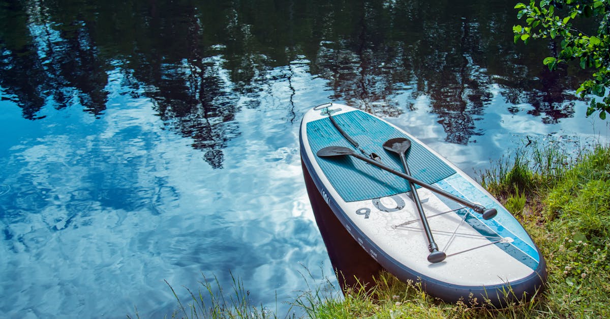 How to Maximise Your Budget for Synthetic Grass Installation