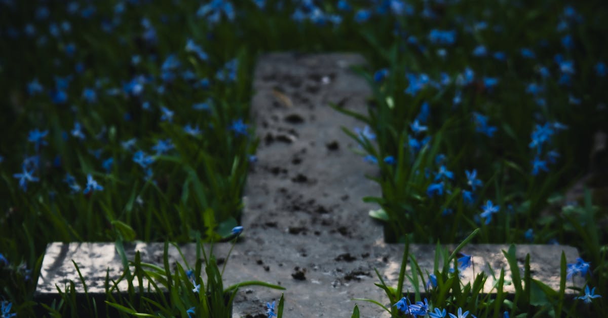 How to Prepare Your Site for Successful Synthetic Grass Installation