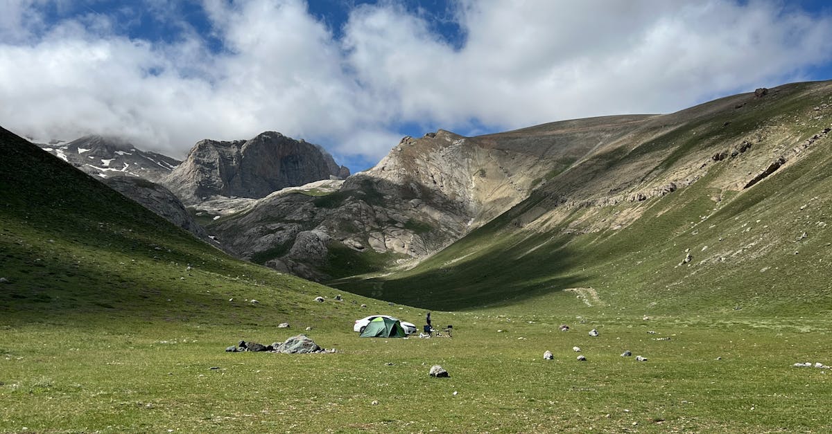 How to Use a Power Wash on Synthetic Grass Effectively
