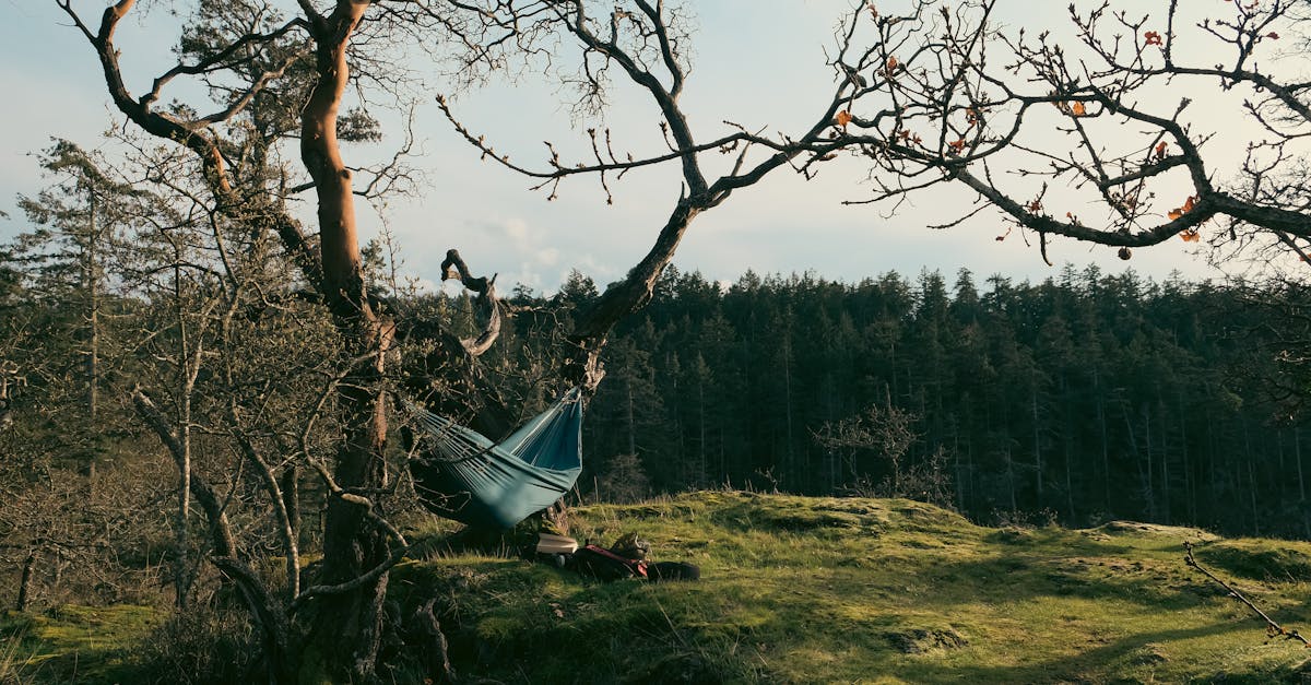 Incorporating Synthetic Grass into Landscape Design