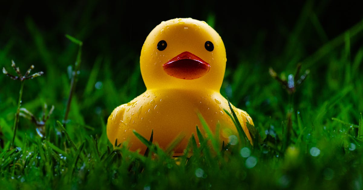 Innovative Drainage Solutions for Artificial Grass in Coastal Environments