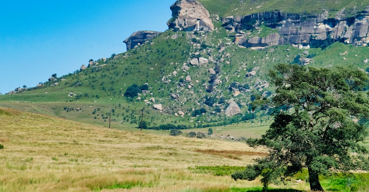 Long-Lasting Safety of Synthetic Grass for Outdoor Play