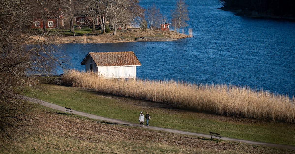 Navigating the Varieties of Synthetic Grass for Various Sports