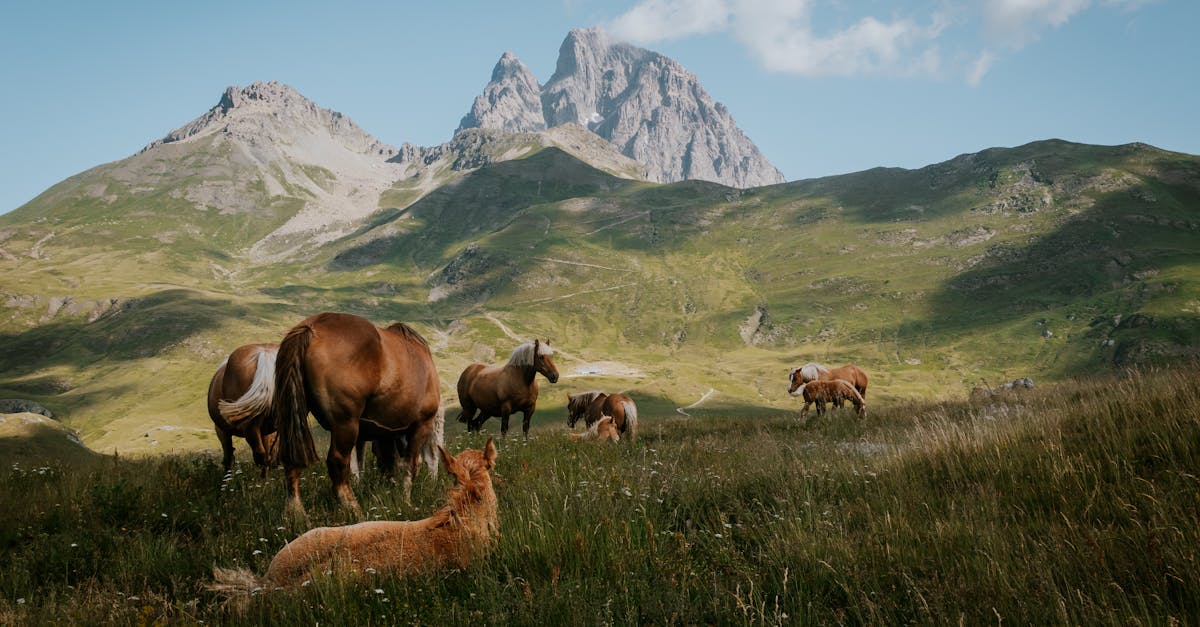 Optimising Drainage During Synthetic Grass Installation