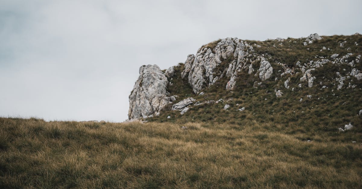 Preventing Seasonal Damage to Your Synthetic Lawn