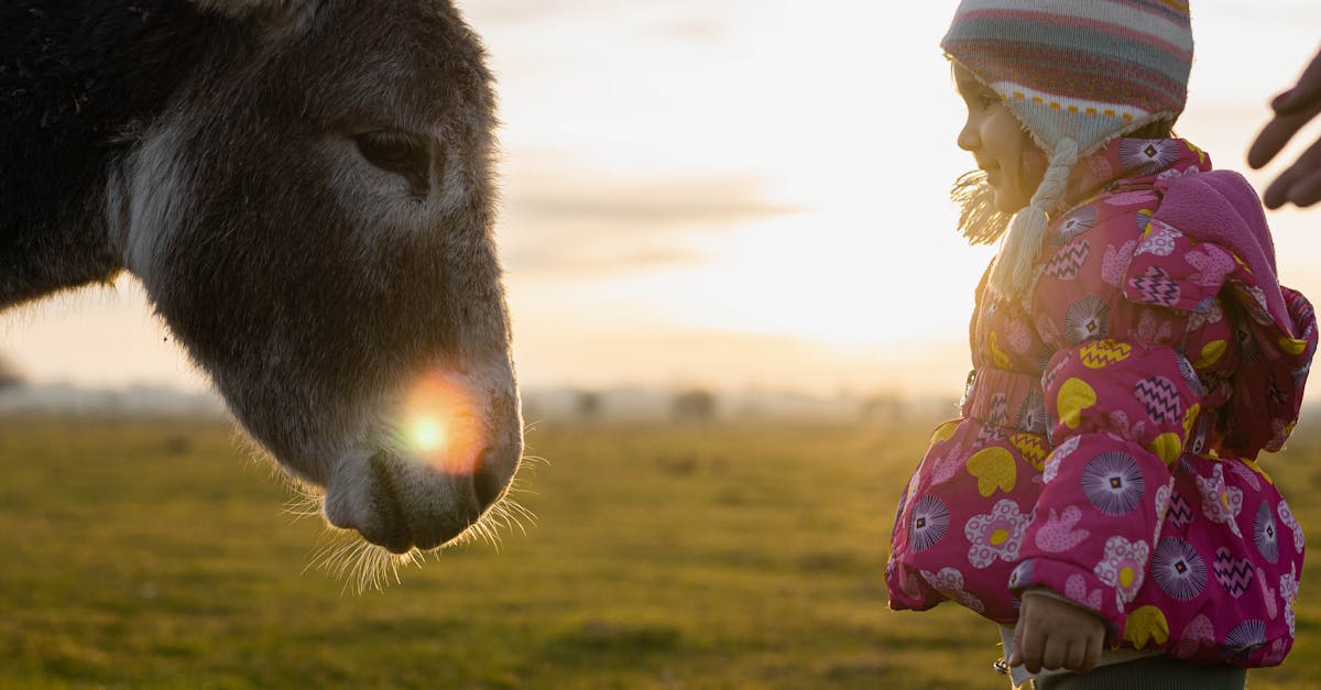 Repair Strategies to Extend the Life of Synthetic Grass