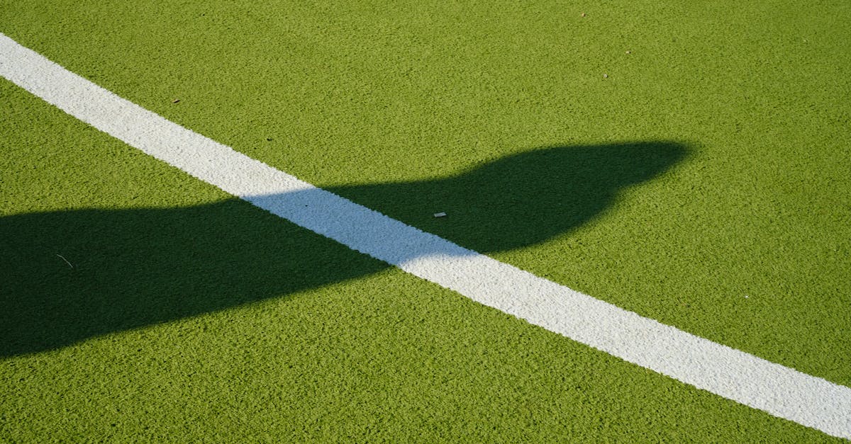 Spring Cleaning Protocols for Artificial Turf