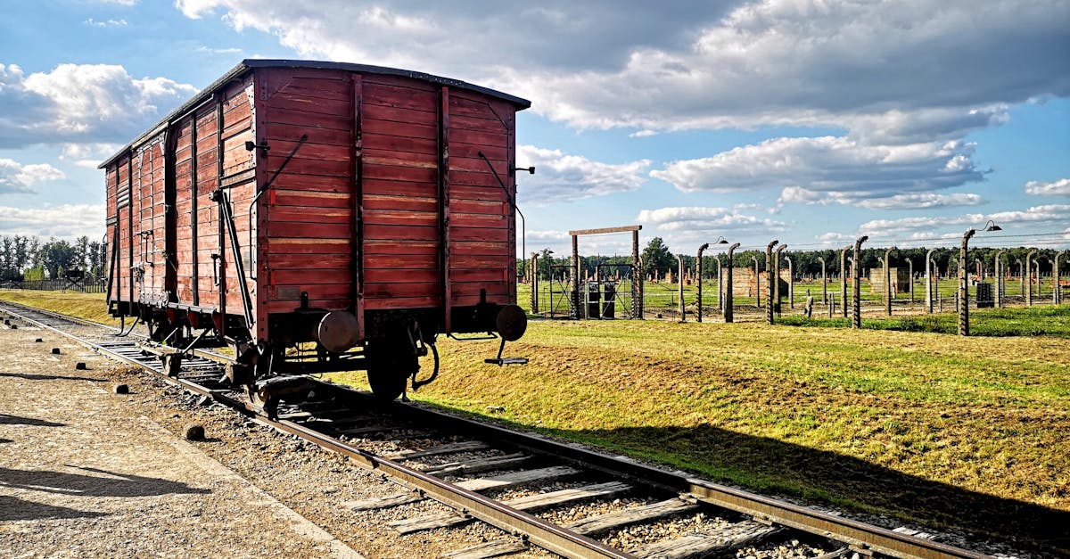 The Role of Geotextiles in Site Preparation for Synthetic Grass in Gold Coast