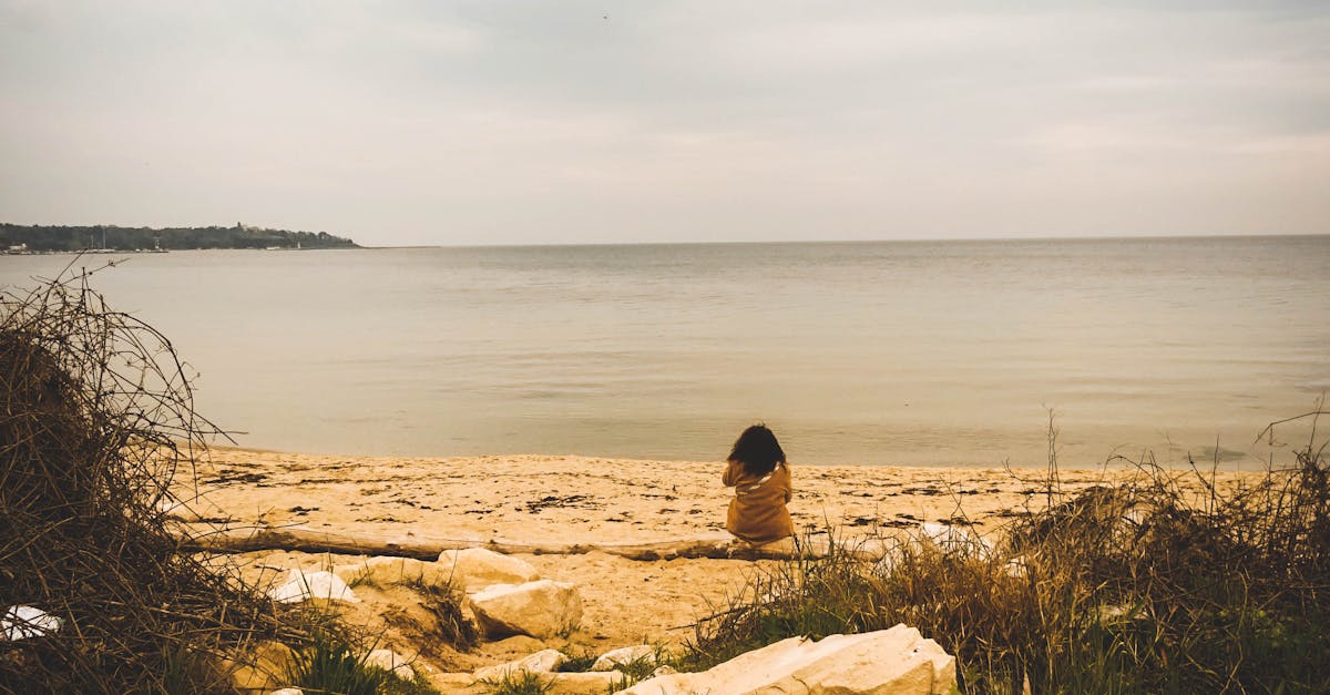 The Role of UV Stabilisation in Prolonging Grass Lifespan