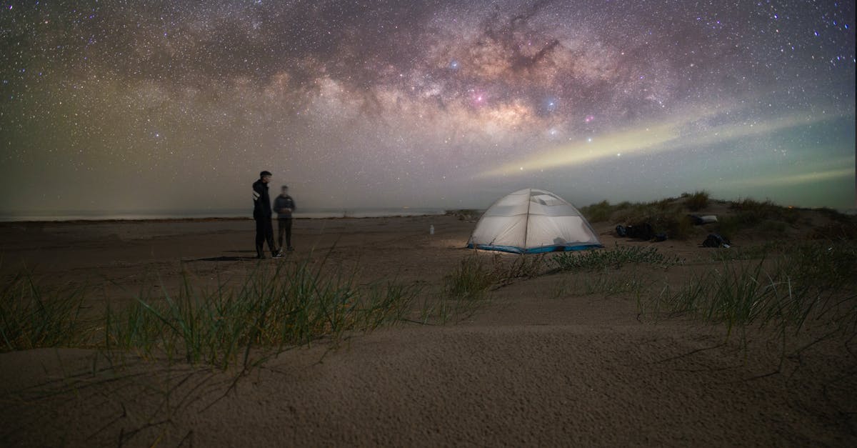 Understanding the Financial Aspects of Synthetic Grass Installation