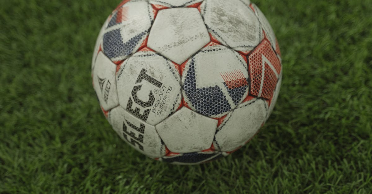 Understanding the Long-Lasting Nature of Synthetic Grass